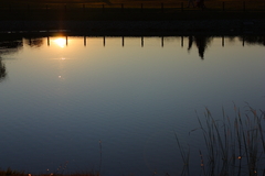 20091103_0011