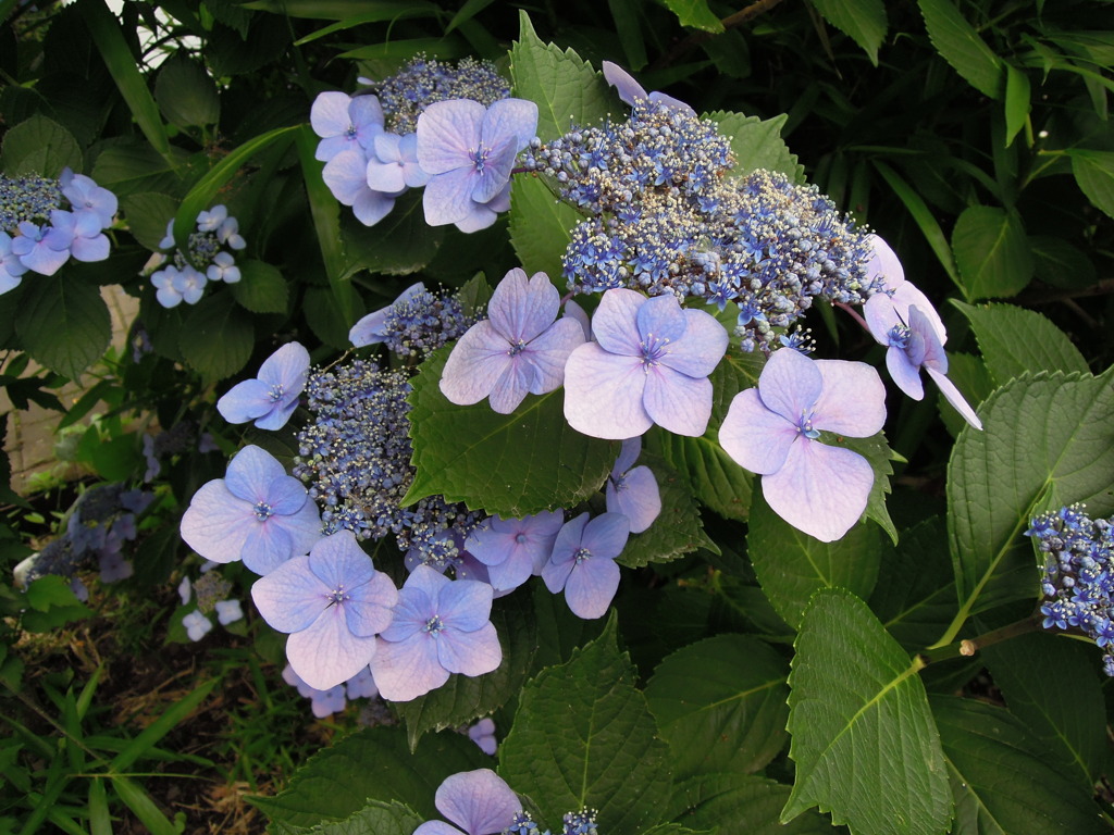 DSCN0032
