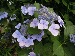 DSCN0032
