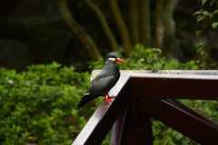 IMG_2258