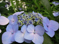 DSCN0034