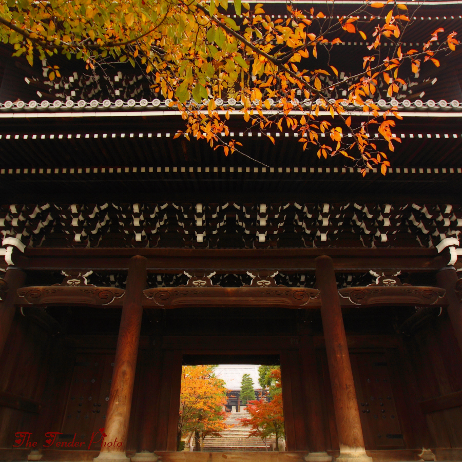 京秋繚乱 2013 四