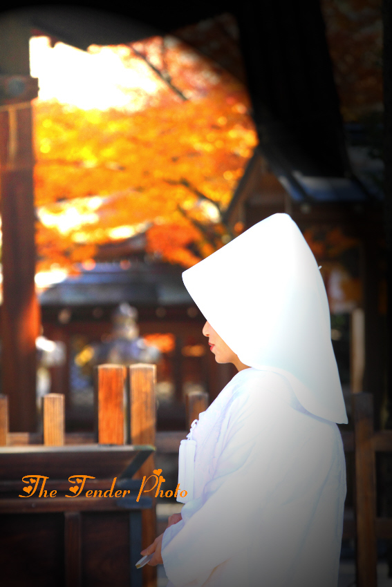 京秋繚乱　“清白貴紅”