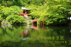 四季京艶　新緑の社寺を　二