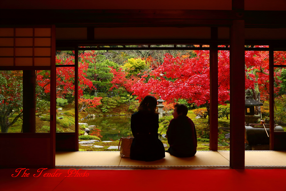 四季京艶 秋　十