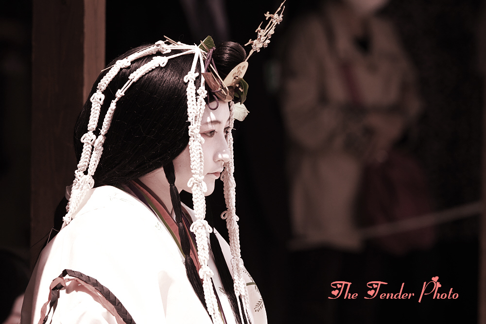四季京艶　葵祭