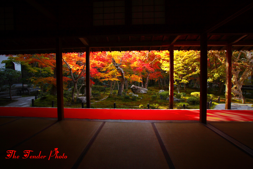 京秋繚乱 2013 五