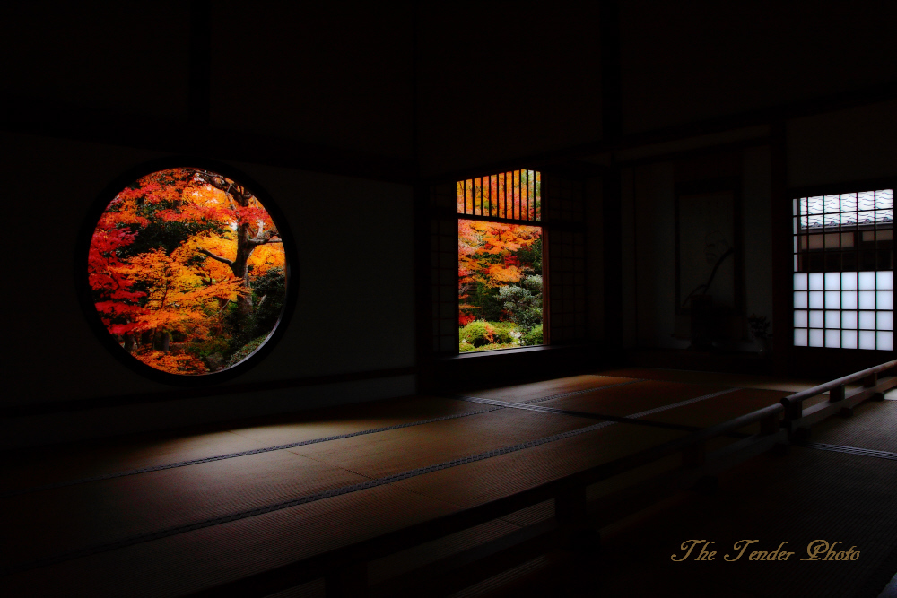 『そうだ　京都　行こう』　2014秋は^^