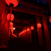 四季京艶　夏　宵灯り　二