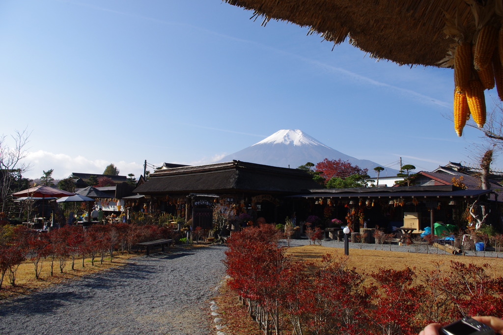 忍野八海から眺める富士山