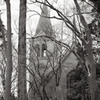 林の中の教会
