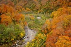 岩手胆沢川の紅葉