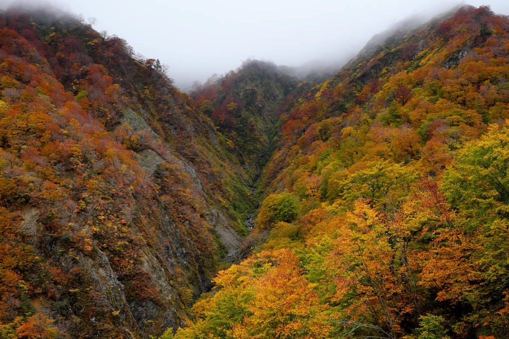 渓谷の紅葉