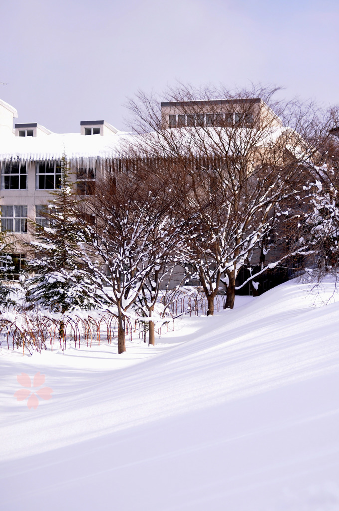 雪
