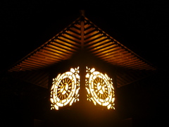 SN3D0041