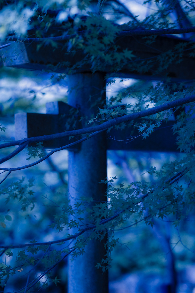 神社にて