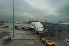 本日のA380 2