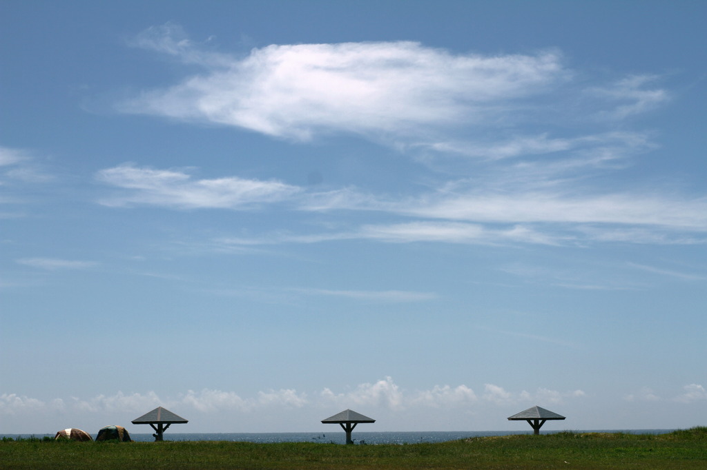 夏の空と大きなきのこ発見