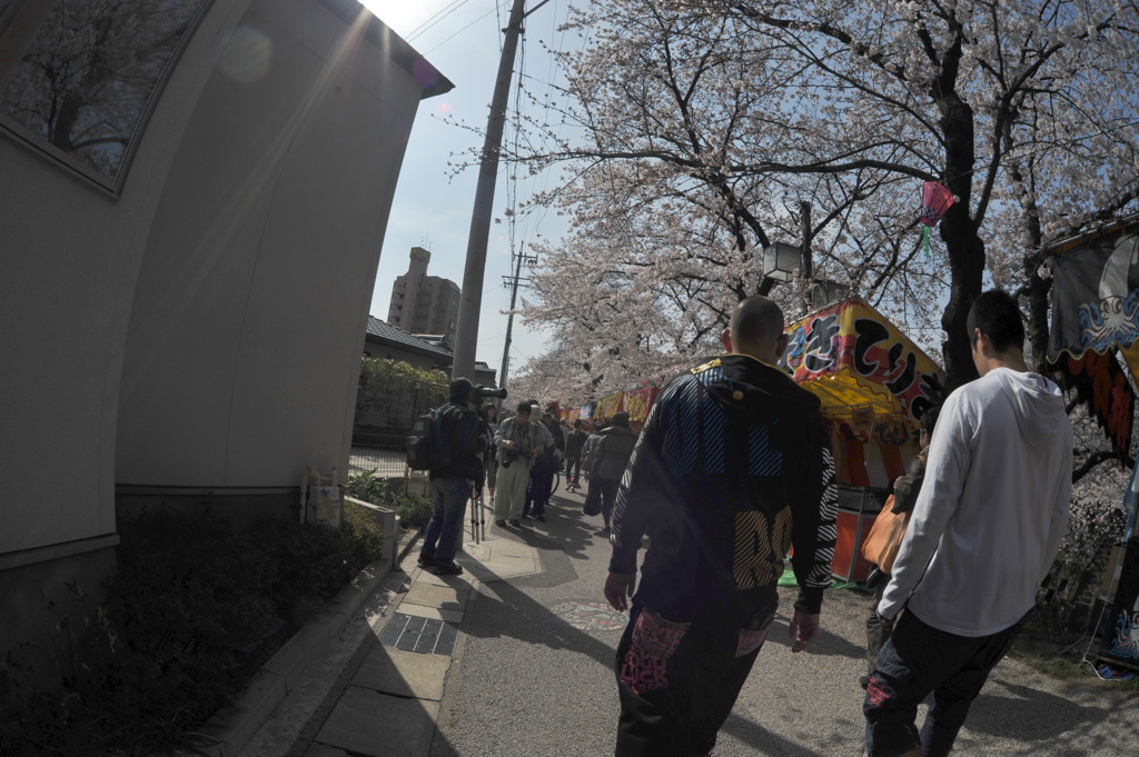 岩倉桜まつり