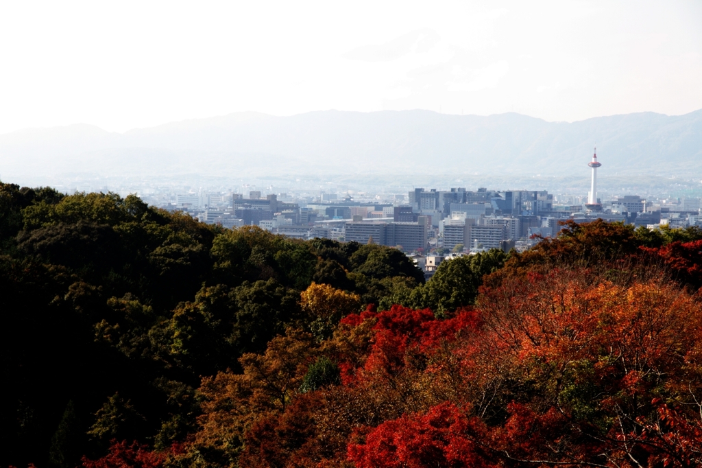 ちょっと京都まで6