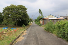 この先は富士山です