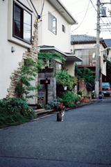 ねこ。