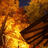 2010　香嵐渓②