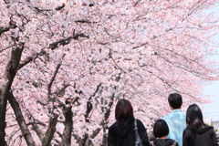休日家族