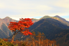 しらびそ高原