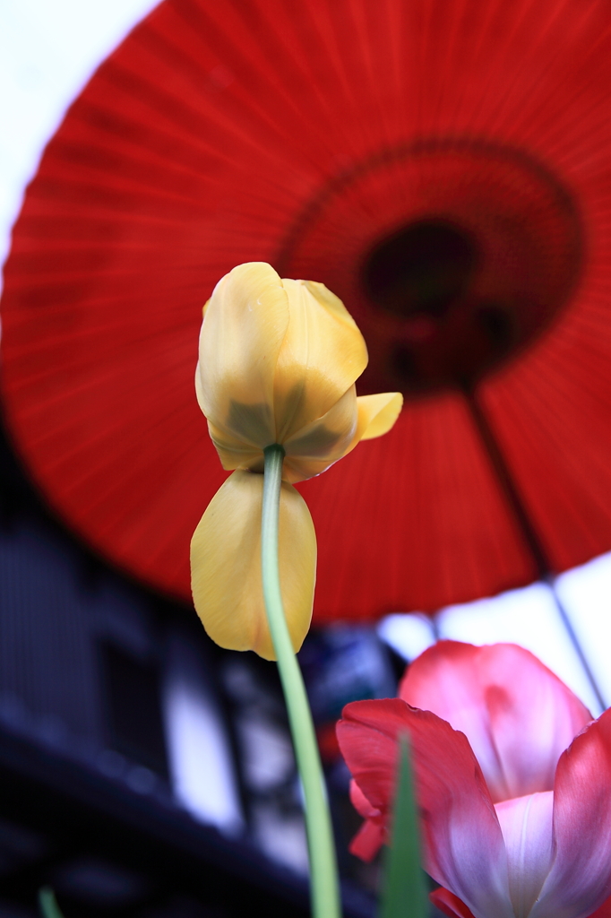墜ちかけ・・・