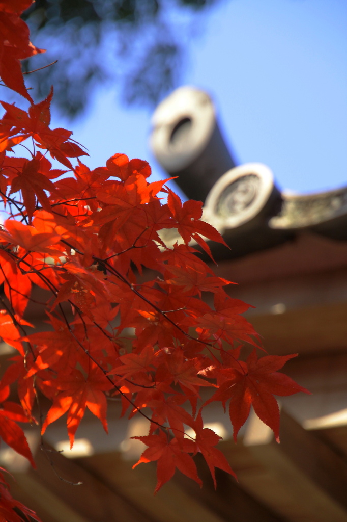 寂光院-2