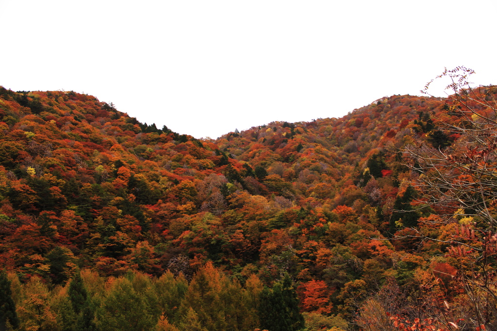 赤く燃える山-2