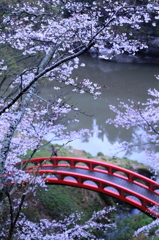 桜淵公園