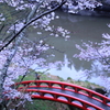 桜淵公園