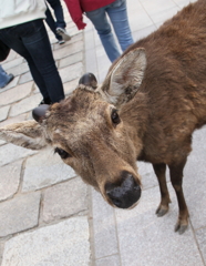 こんにちわ。