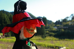 四谷千枚田⑧