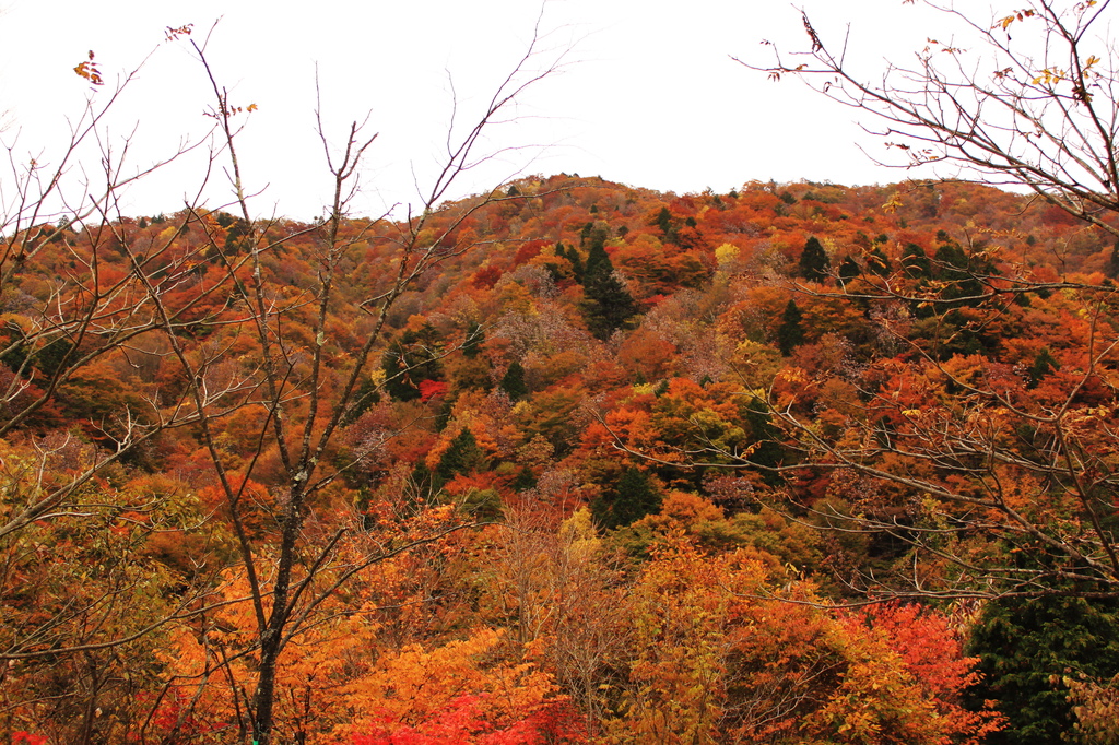 赤く燃える山-1