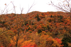 赤く燃える山-1