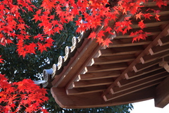 寂光院-1