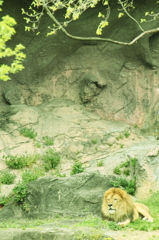 春のひととき