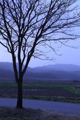 白馬村の朝