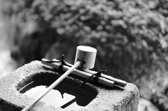 IMG_1457