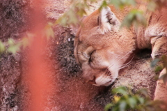 眠たいよね。。。