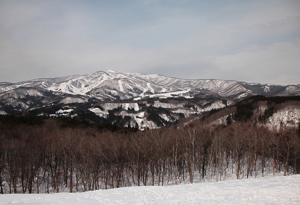 ひるがの高原