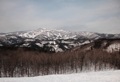 ひるがの高原