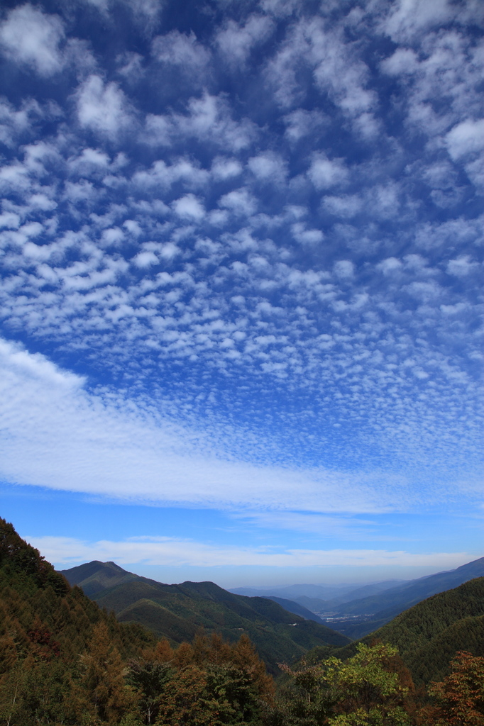 秋空②