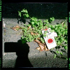 「幸運」にも見つけたタバコ