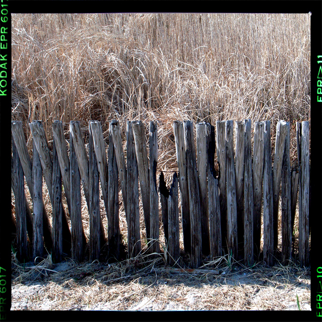 a woodenfence！！