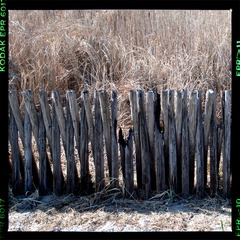 a woodenfence！！