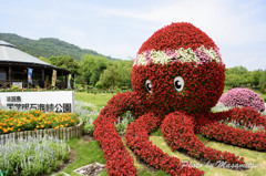 明石海峡公園　たこさん